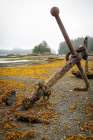 Alaska-Sitka Old anchors at ocean low tide Art Print